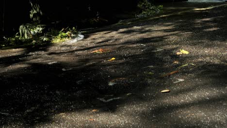 Slow-motuon-handheld-shot-of-a-road-with-water-running-off-while-cars-are-driving-in-bali-indonesia