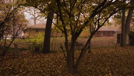 Girando-Alrededor-De-Un-árbol-De-Otoño-En-Otoño