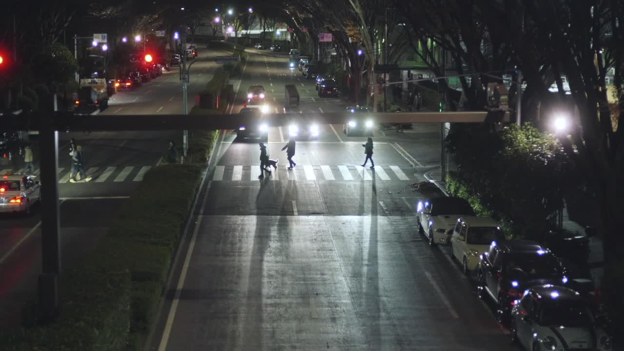 Dog Crossing The Road With Its Owner In Tokyo, Japan At Night - high angle shot