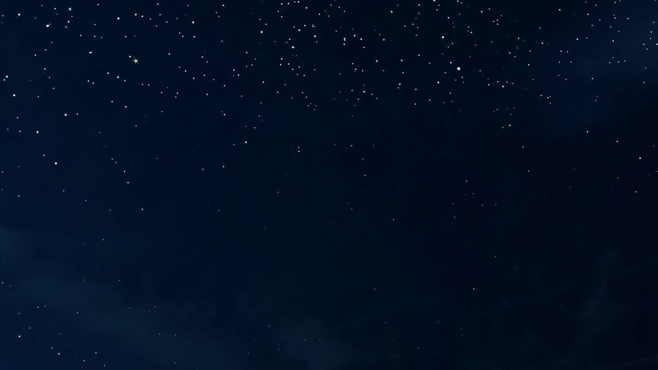 2025년 새해 불꽃놀이 축제