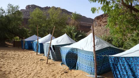 Tents-in-Terjit-Oasis-Africa-Village-in-Mauritania-Sahara-Dessert,-Static