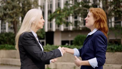 two businesswomen in professional conversation