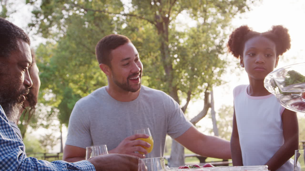 familia de varias generaciones disfrutando de un picnic en el parque juntos