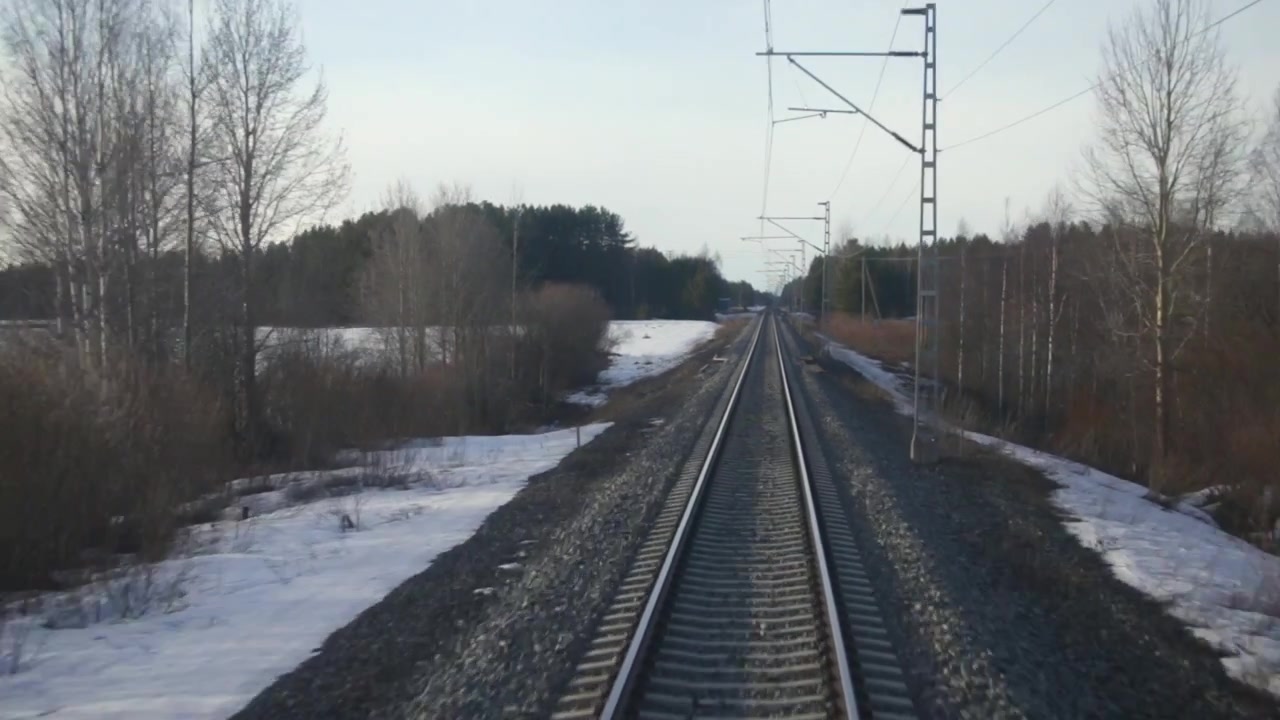 Un treno percorre i binari attraverso un paesaggio innevato circondato da alberi, visto da dietro