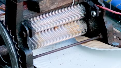 A detailed view of a mechanical roller flattening squid pieces for culinary use.