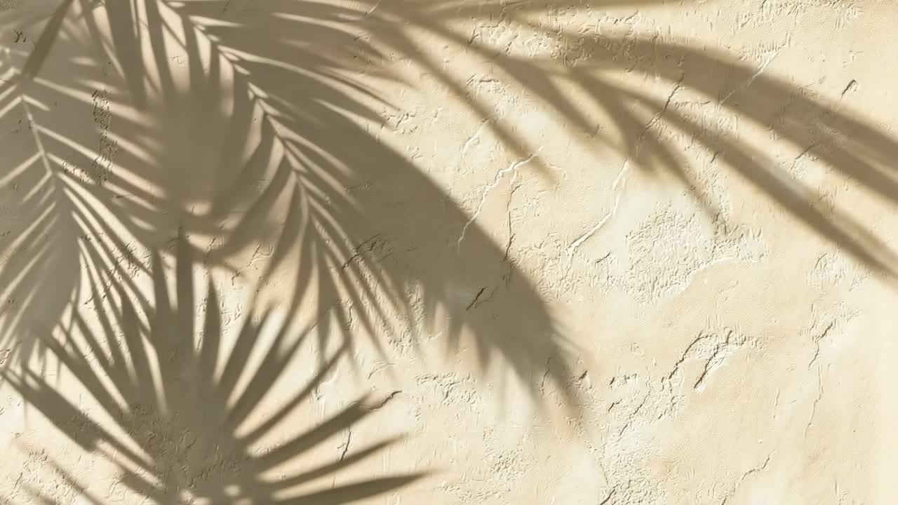 Aesthetic video concept with a top-down angle capturing palm leaf shadows on a textured beige wall