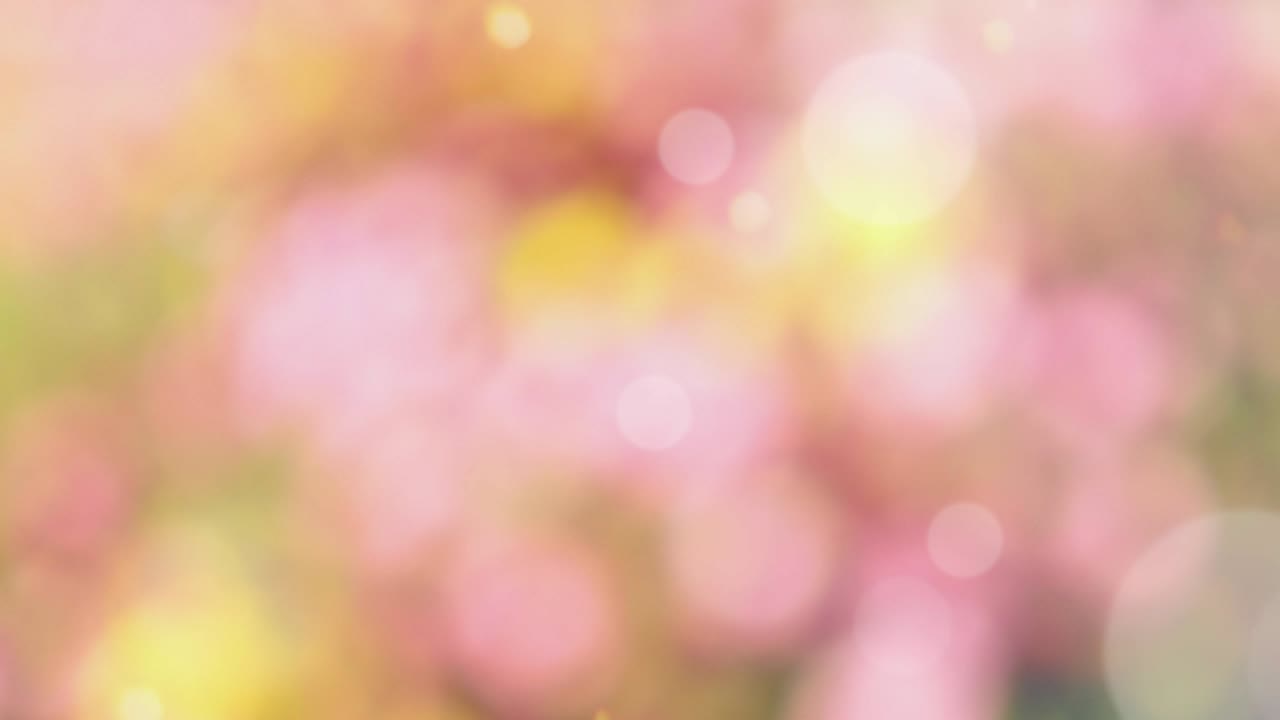 fondo de resorte abstracto con bokeh