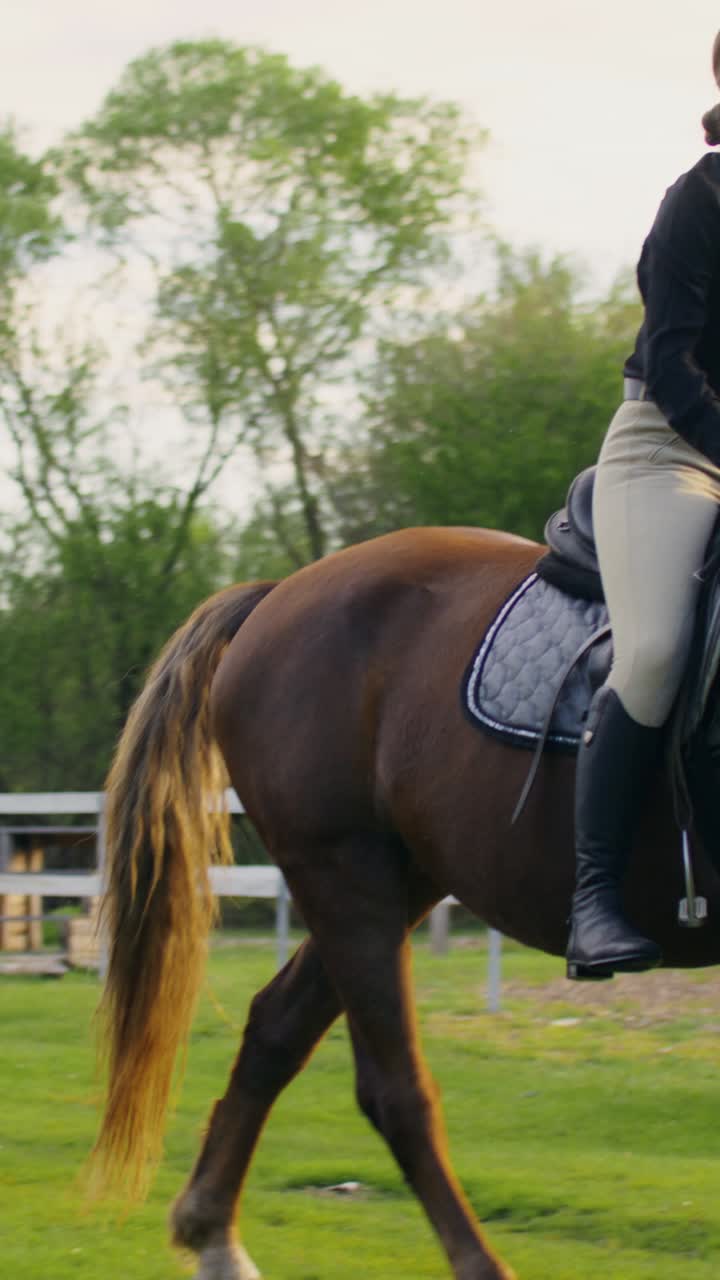 Equitazione in un campo