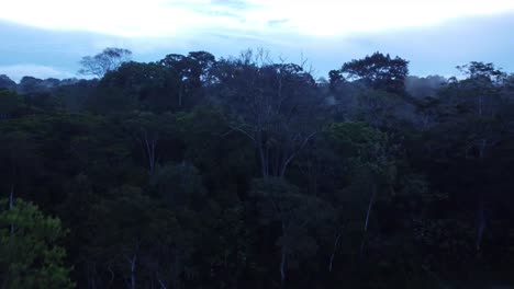 flying over the quiet amazon jungle at sunrise -aerial