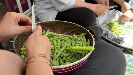 a persian middle east woman slice chop vegetables green ripe peas beans to make delicious food cuisine travel culinary tasty stew in rural area village life in country side in the forest mountain