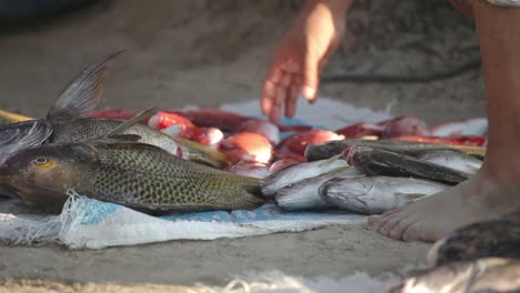 zihua fishermen 27