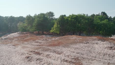 Aerial-dolly-left-shot-of-Oranjezon-Nature-Reserve-on-sunny-day