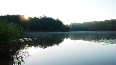 early morning misty and foggy lake with sunrise and sun beam behind forest trees