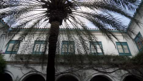 Typical-spanish-palace-in-Cordoba-with-many-flowers-and-plants