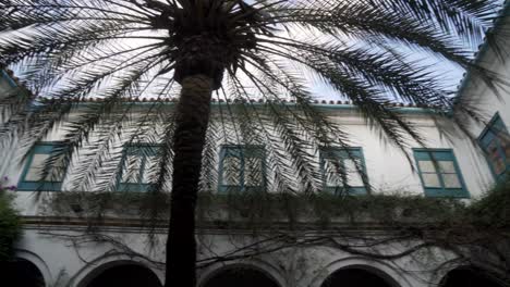 palacio típico español en córdoba con muchas flores y plantas