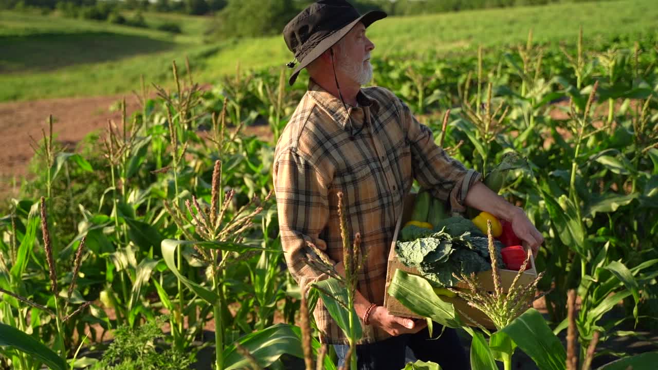 retrato de un anciano agricultor caucásico apuesto y sabio con un sombrero mirando al costado, volviéndose cara a la cámara en un campo