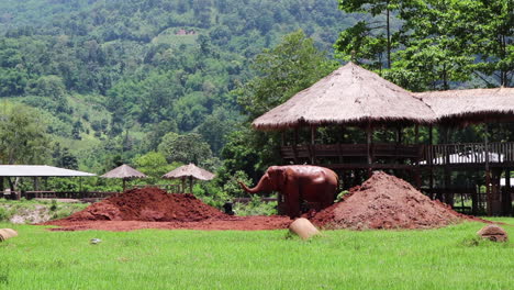 elephant standing between two red dirt piles in a field