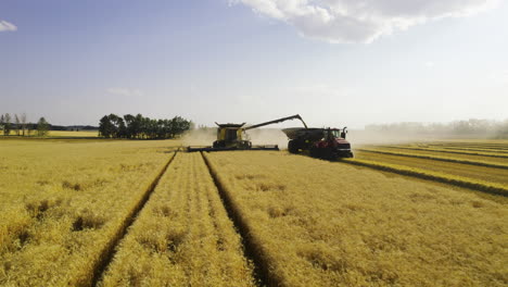 frontal aerial of combine harvester unloading cereal crop to tractor trailer