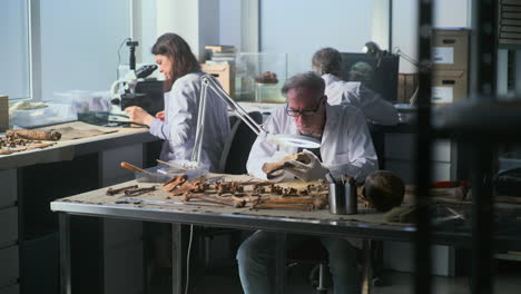 arqueólogos examinando ossos antigos em um laboratório