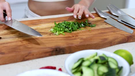 person chopping coriander on a wooden board in a well-lit kitchen. fresh ingredients like cucumber and lime are visible