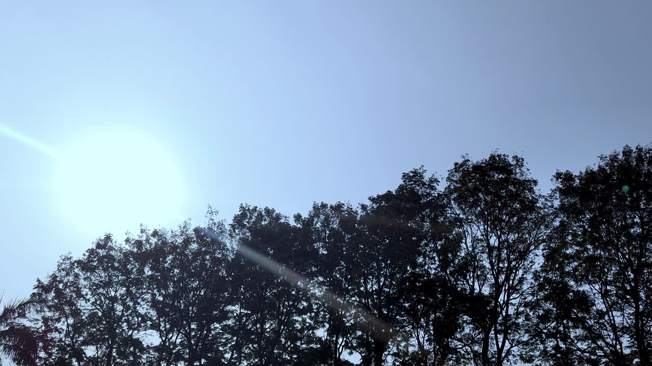 Glorious sun shining brightly over lush forest canopy against clear blue sky. Peaceful and vibrant view of perfect nature, climate and outdoor.