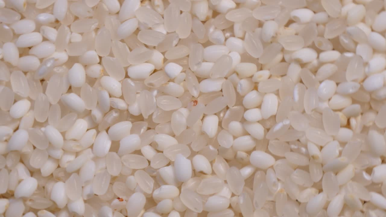 회전하는  씨의 근접