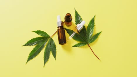 Video-of-marijuana-leaves-and-bottle-of-cbd-extract-on-yellow-background