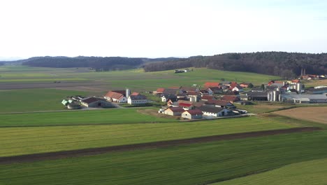 wheat and corn fields surround the small village of levanjci near destrnik in slovenia with large livestock and dairy farms, agribusiness and agriculture in europe