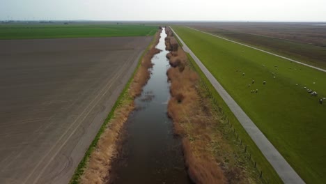 road and river in rural farmland and sheep on green pasture