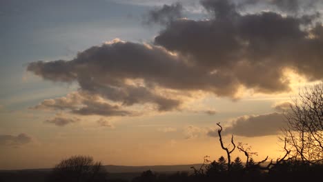 Espectacular-Cielo-Vespertino-Al-Atardecer-Sobre-El-Bosque