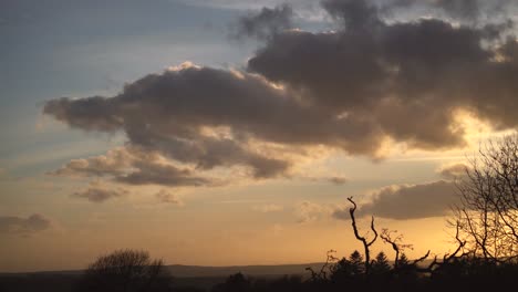 espectacular cielo vespertino al atardecer sobre el bosque