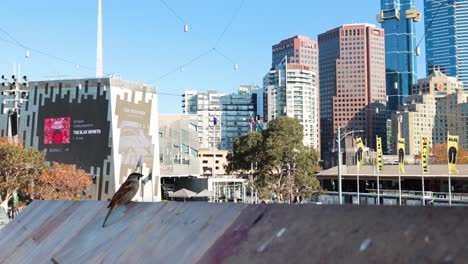 panoramic view of melbourne's iconic skyline