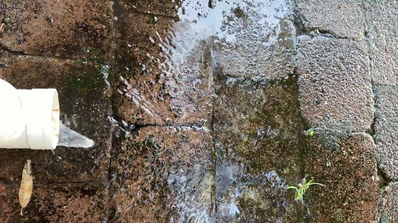 Draufsicht auf Regenwasser, das aus einem weißen Regenrohr auf nasse, moosbewachsene Betonpflastersteine abfließt.
