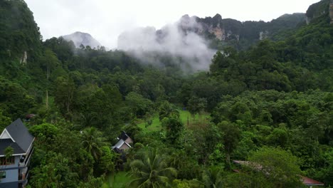 a lush green landscape surrounded by mountains shrouded in mist, with various trees and a few buildings visible in the foreground.