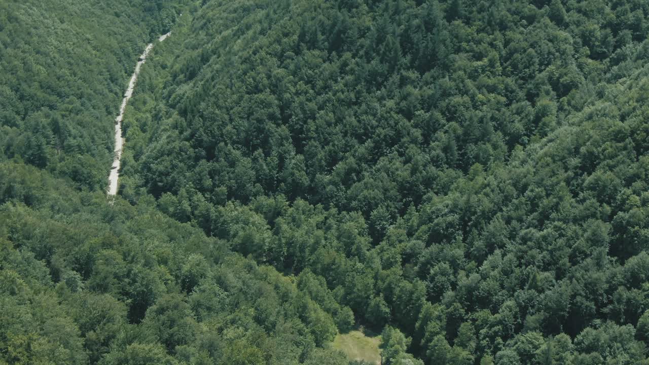 Drone shot of a road hidden in a forest