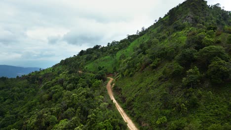 remote road through enchanting forest and misty mountains on a cloudy day: breathtaking scenery and tranquil wilderness exploration