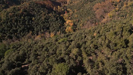 Drone-Aéreo-Vuela-Sobre-El-Parque-De-La-Reserva-De-La-Biosfera-Del-Montseny,-Bosque-Otoñal,-España
