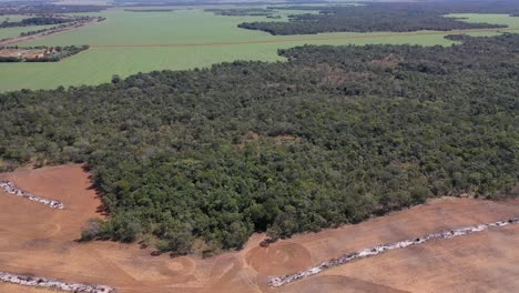 aerial view of the "cerrado" biome area and part deforested for agricultural use, city of santa rosa do tocantins, state of tocantins, brazil