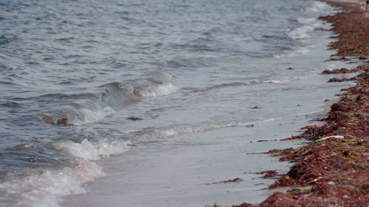 바다의 파도가  ⁇ 은 날 해변에 부 ⁇ 히고