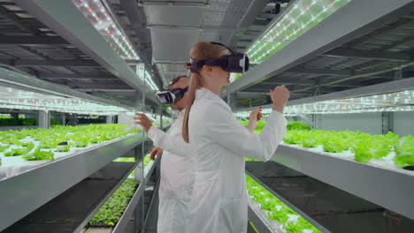 vertical hydroponics plantation man and woman in white coats use virtual reality technologies simulating interface operation.