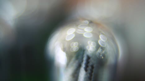 macro primer plano, cable usb en una cubierta de plástico redonda, bokeh de ensueño, cable de carga en una caja transparente brillante