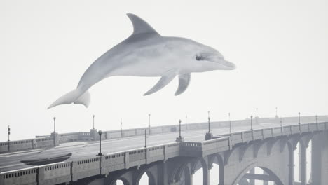 a dolphin leaping over a bridge in the fog