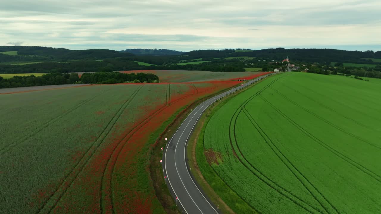 Drone view of a road with cars passing through blooming poppy fields in the Czech countryside. Scenic summer landscape, vibrant red flowers, peaceful rural atmosphere