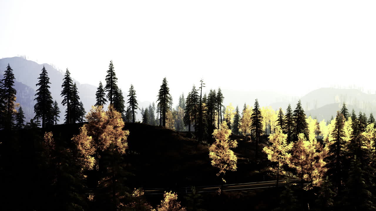 Sunlight filters through trees in a serene mountain landscape during autumn