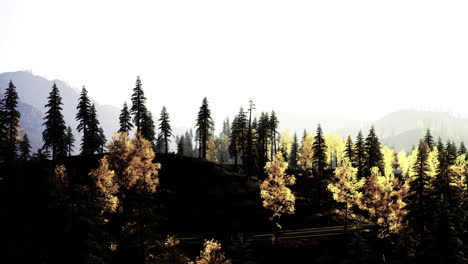 sunlight filters through trees in a serene mountain landscape during autumn