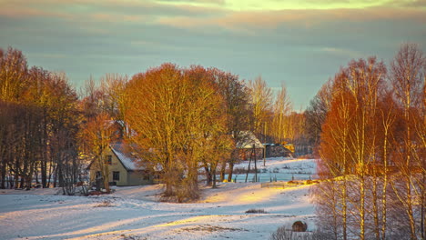 Timelapse-Cálido-Y-Escénico-De-Un-Paisaje-Nevado-De-Invierno-Con-árboles-En-Letonia,-Europa