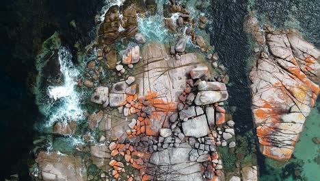 aerial of bay of fires bright orange rocks with waves in rock pools in the sea