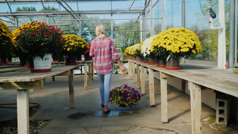 woman in a greenhouse with flower basket