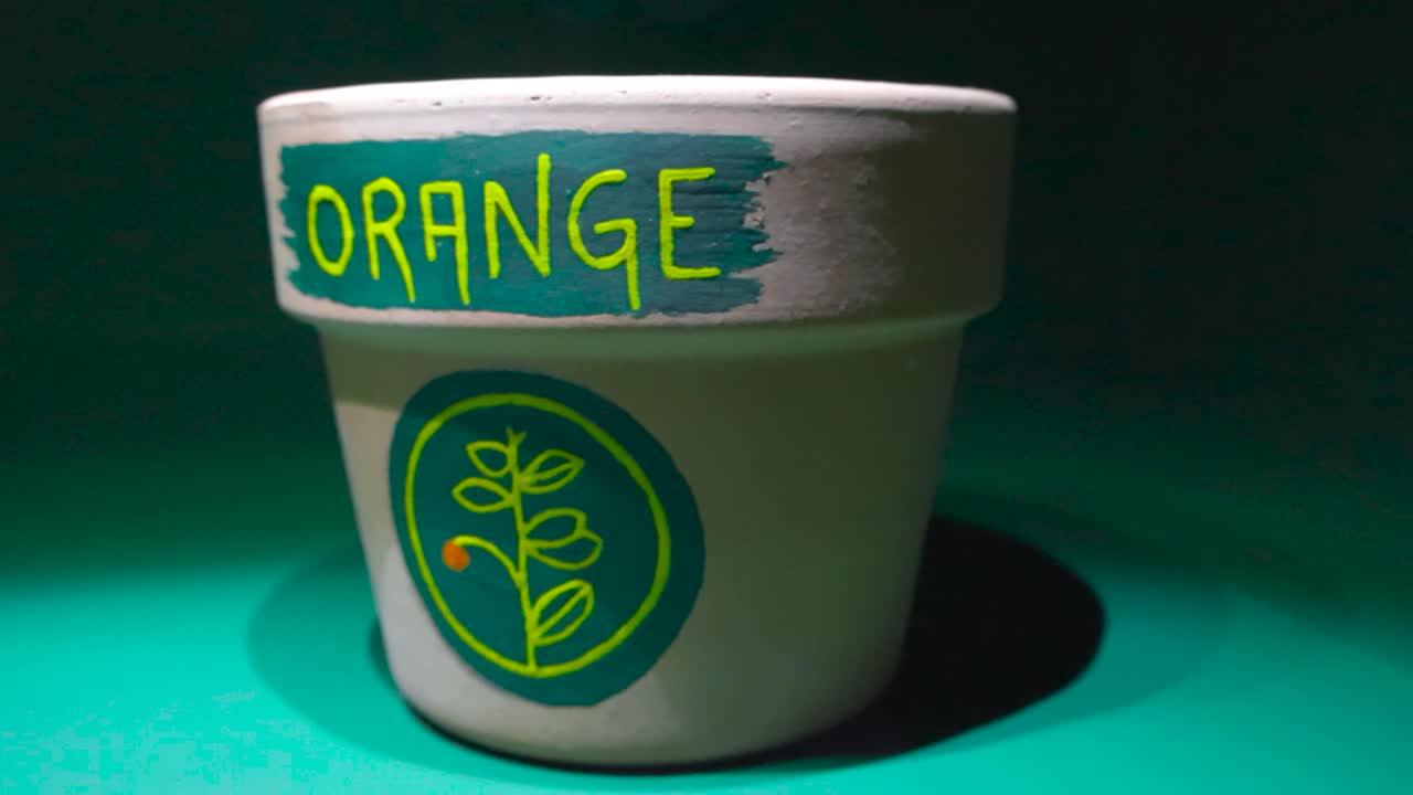 Moving shot from right to left of a light orange and gray planting and plant pot on a dark green background with good lightning. Pot has word Orange hand painted on it with yellow colors and a plant