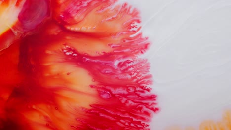 vibrant red and orange alcoholic ink flow in macro, creating dreamy abstract art